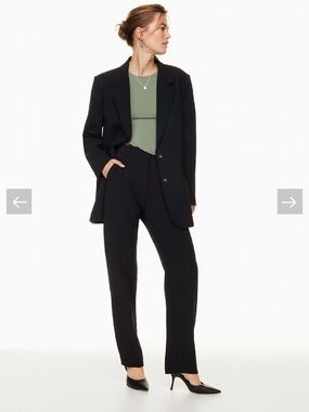 Aritzia Wilfred Choplin Pant